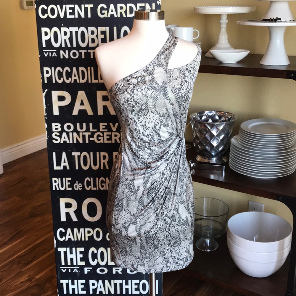 Sexy One Shoulder Laila Azhar Dress from Shopbop